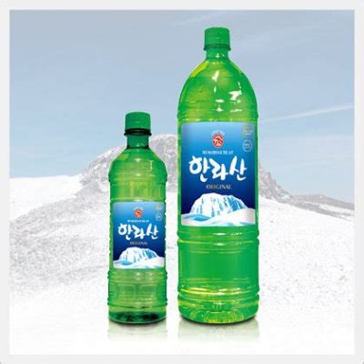 소주 페트병 용량: 소비자의 선택과 환경적 고민